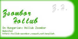 zsombor hollub business card